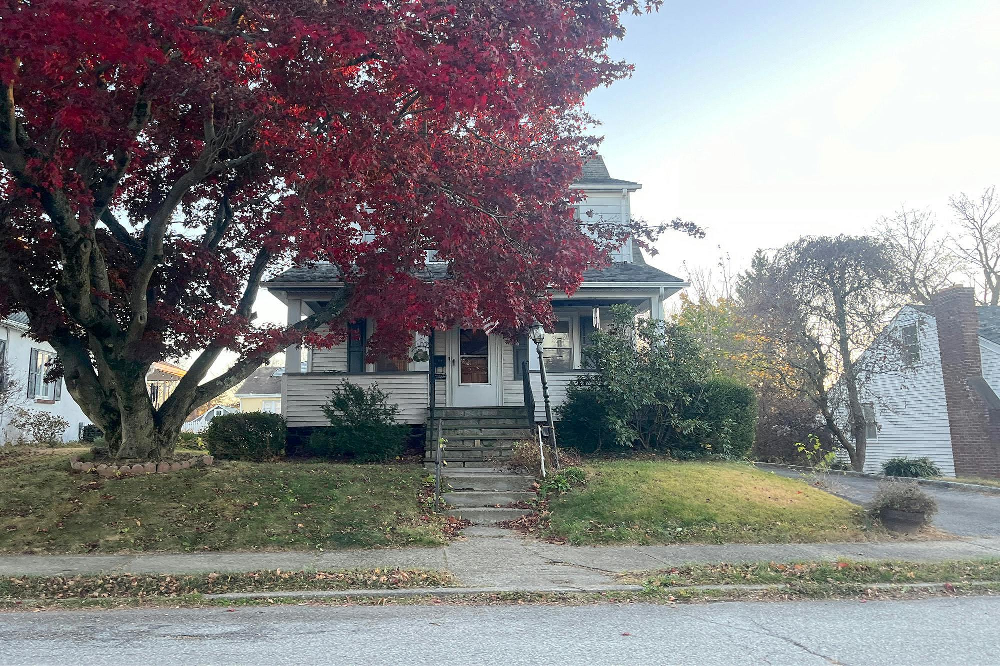 Main image
