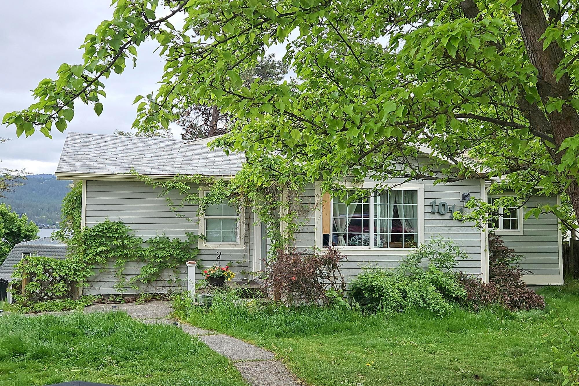 Main image