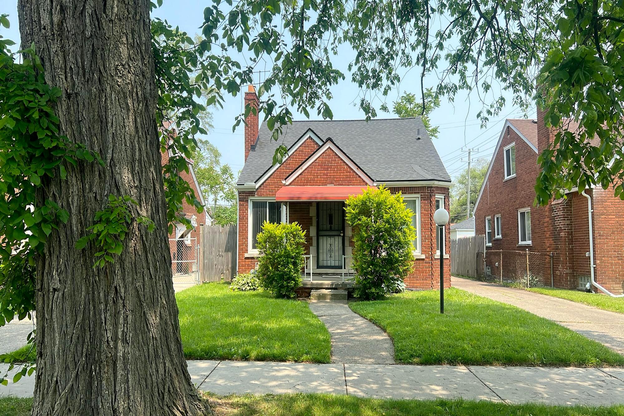 Main image