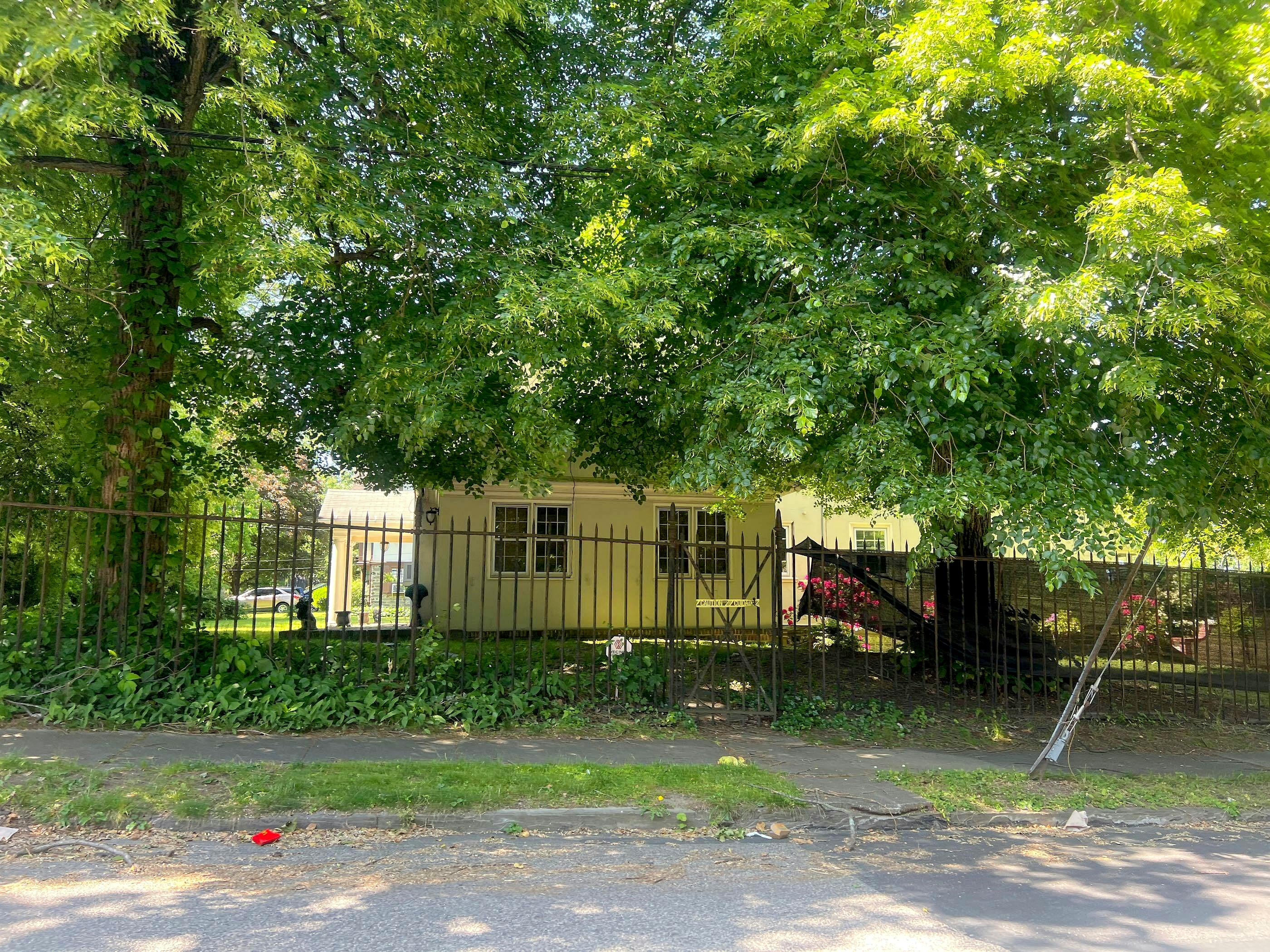 Main image