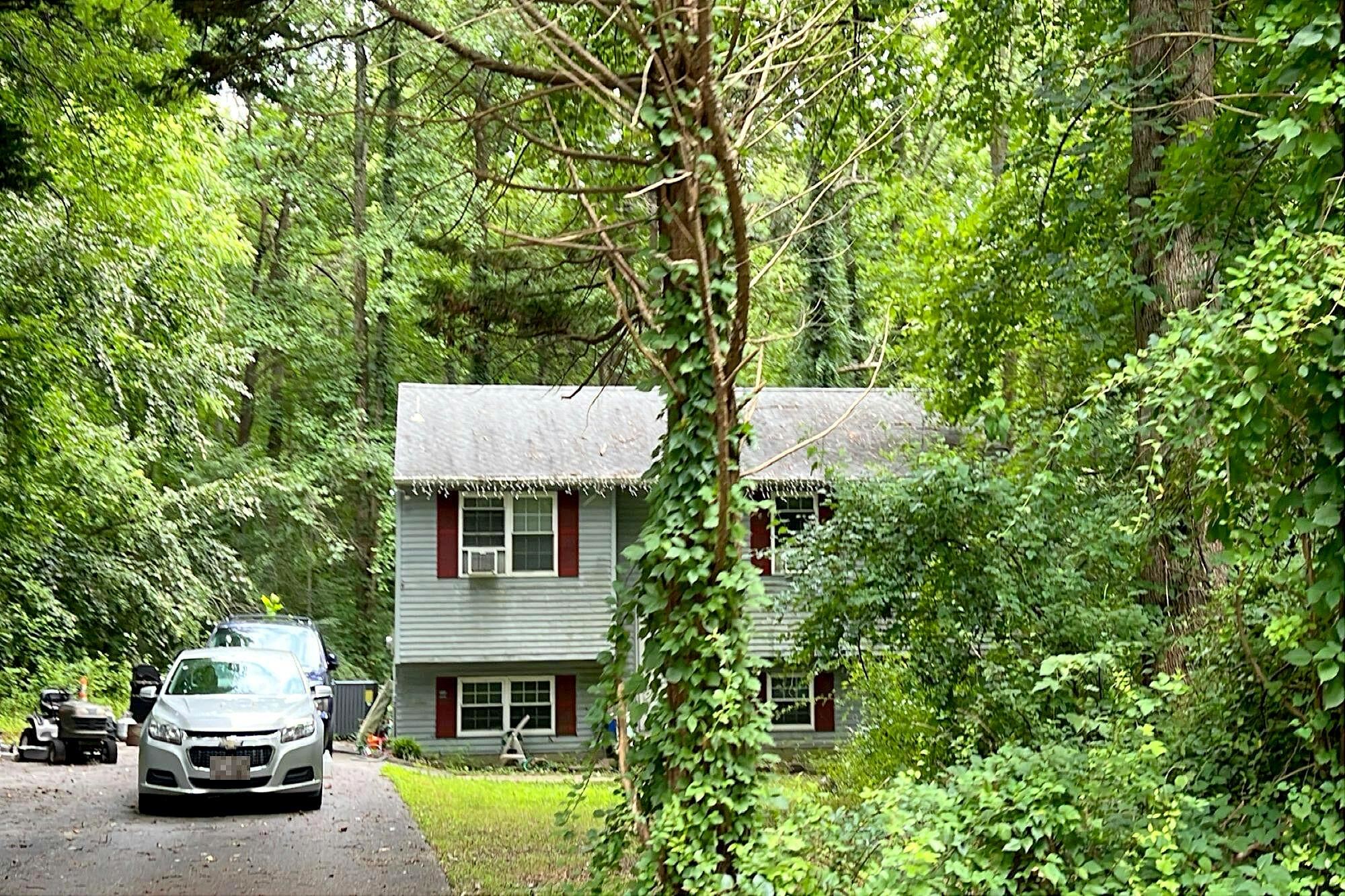 Main image
