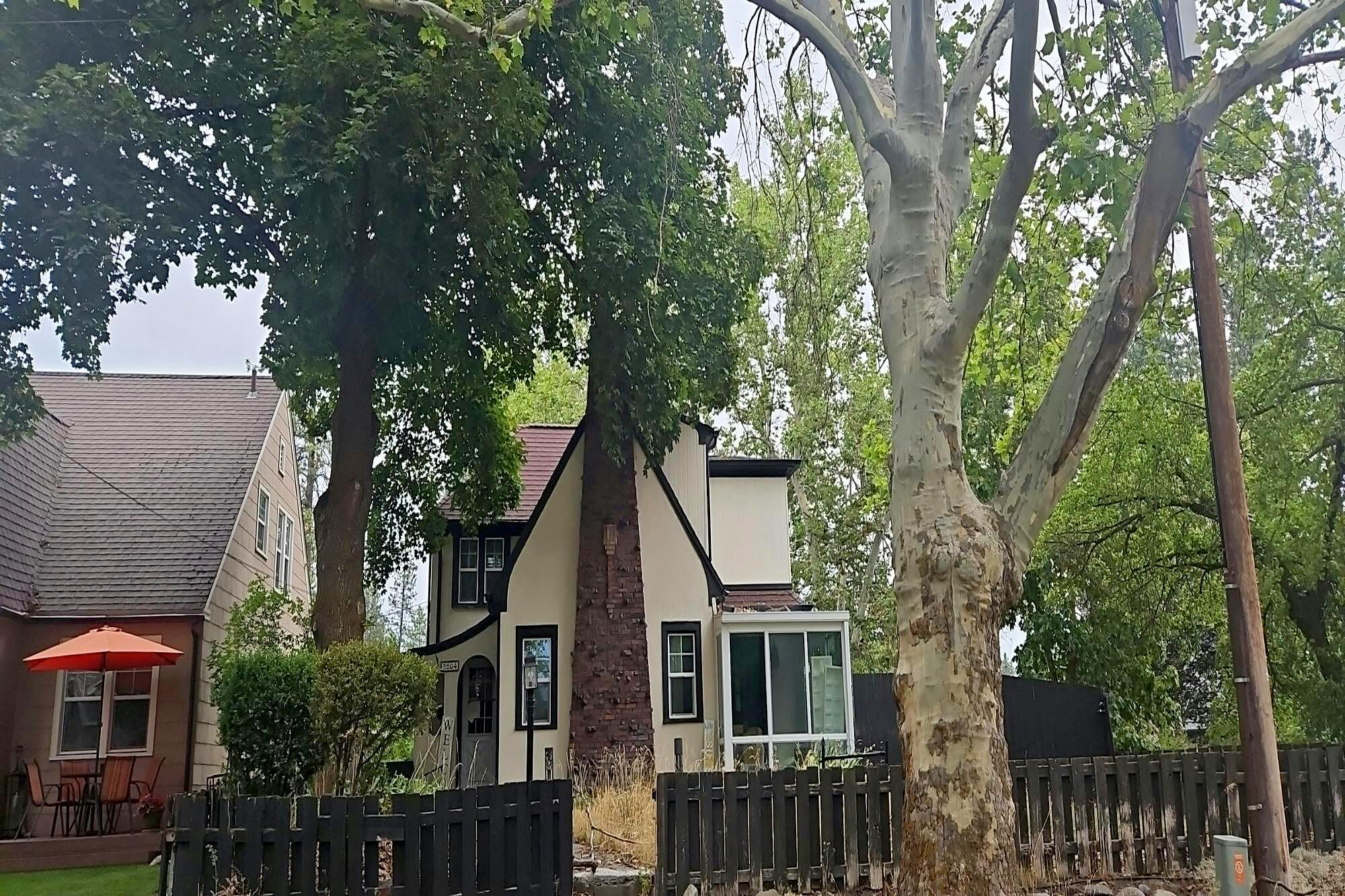Main image