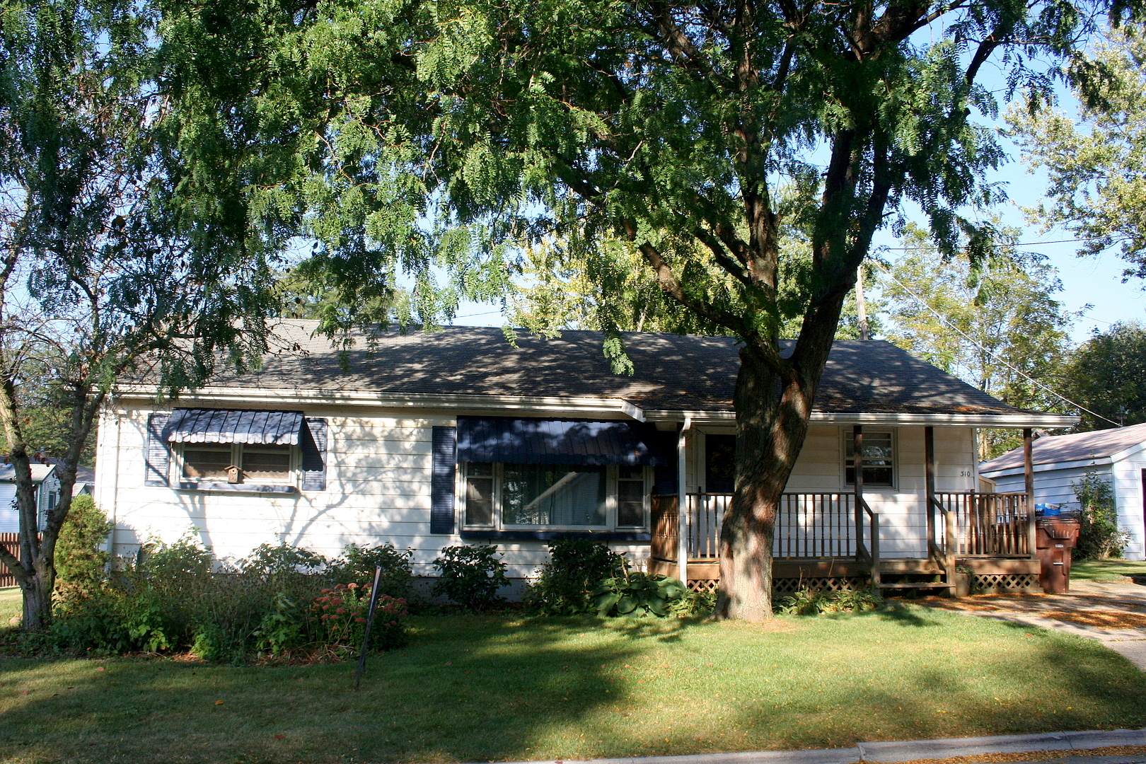 Main image