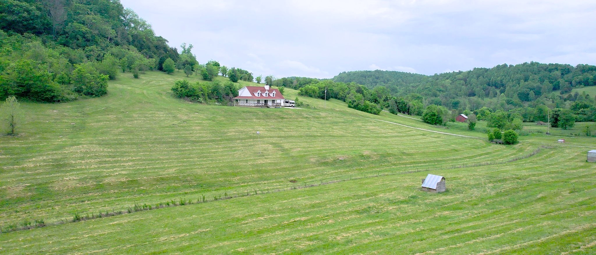 Main image