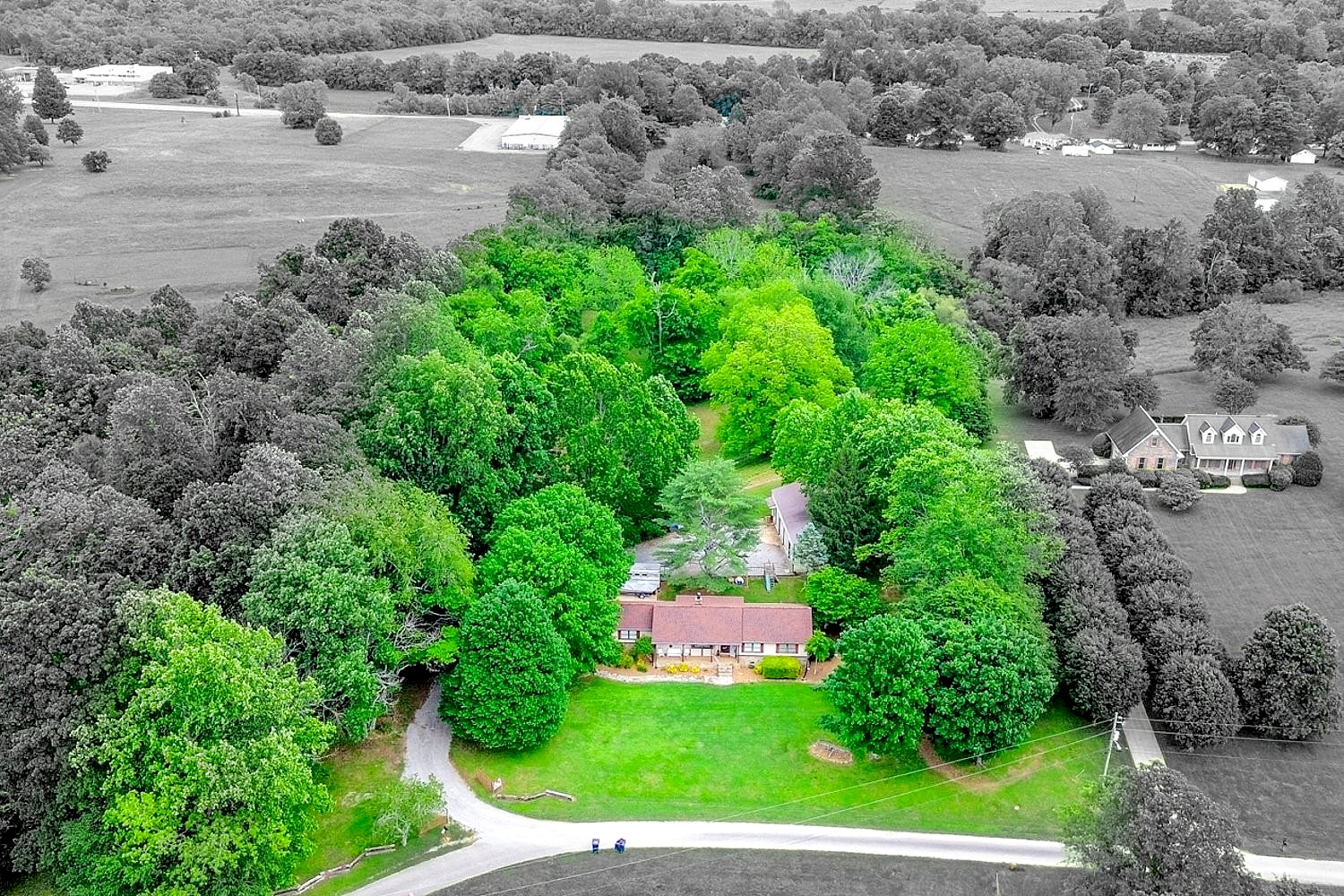 Main image
