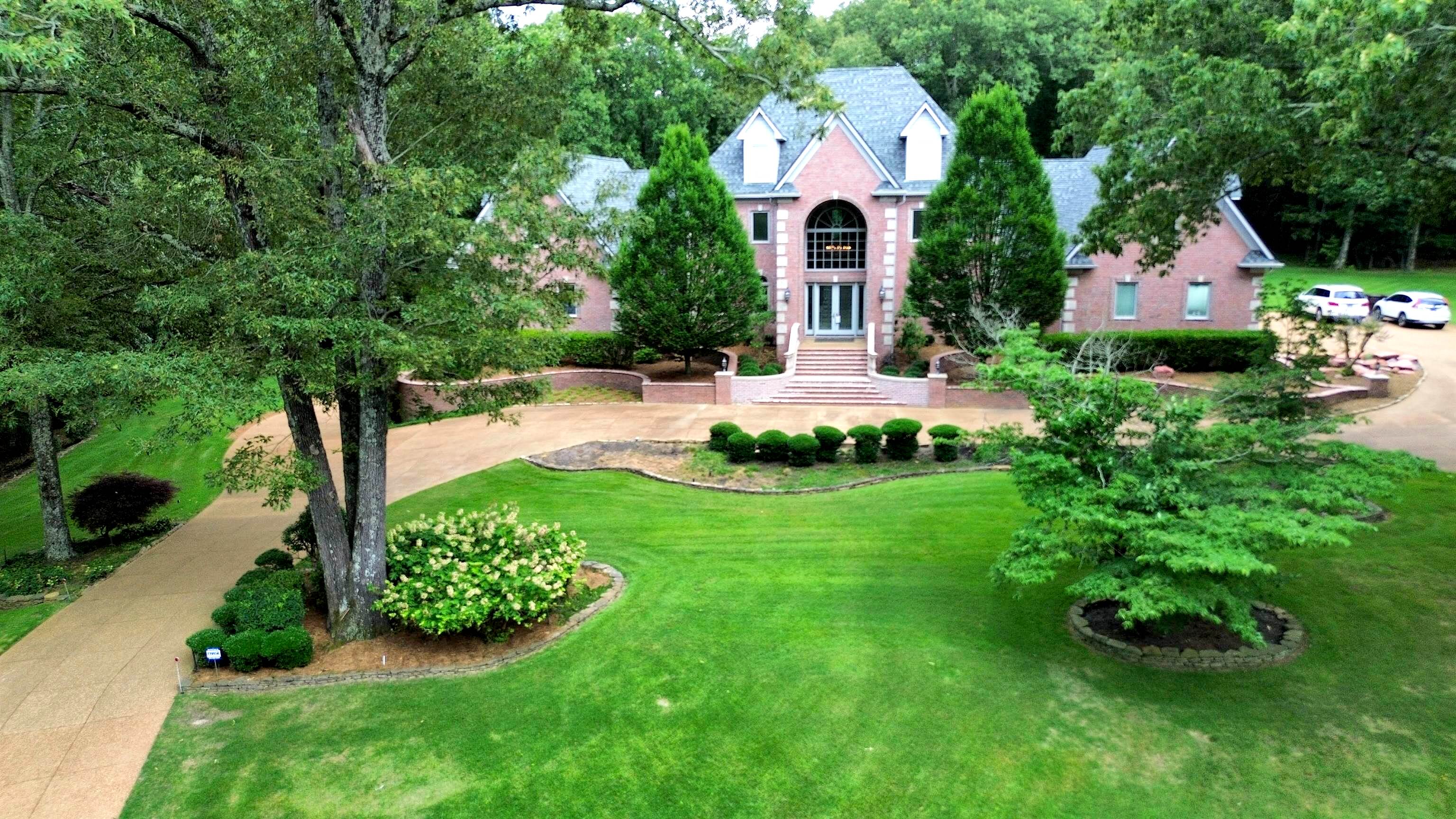 Main image