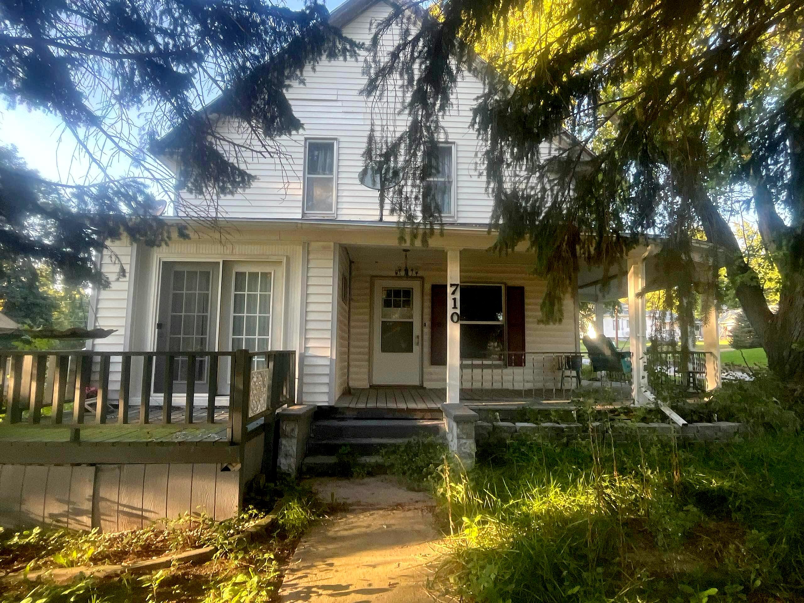 Main image
