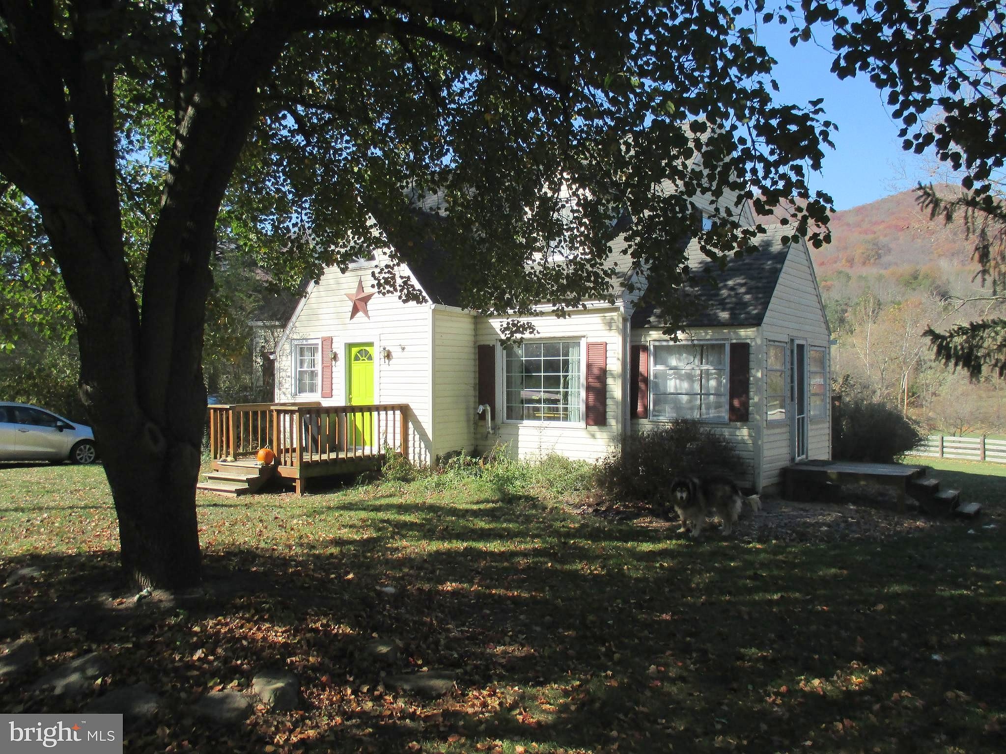 Main image