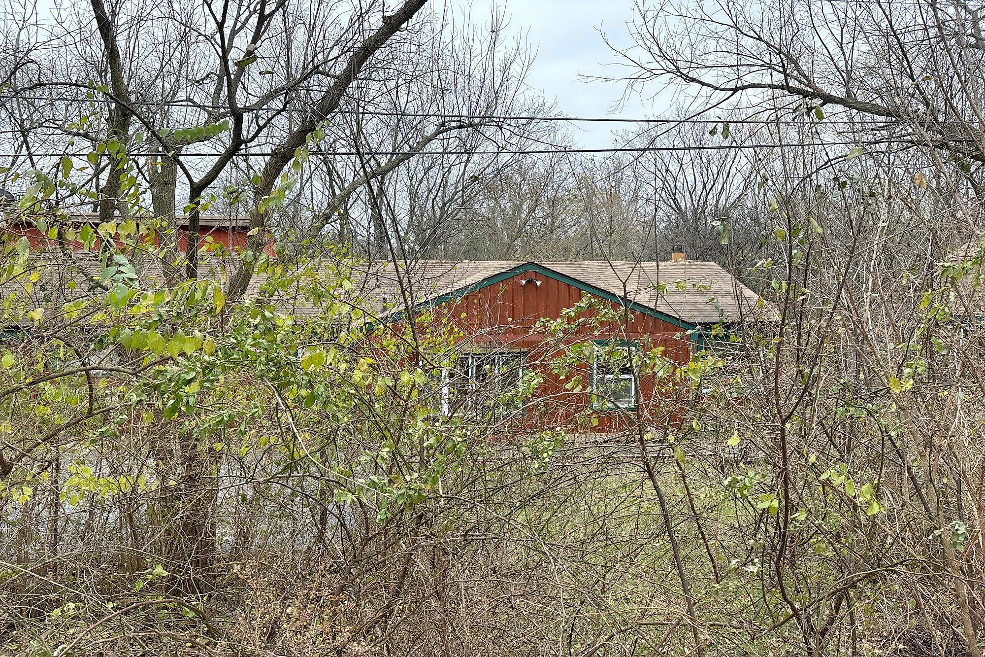 Main image