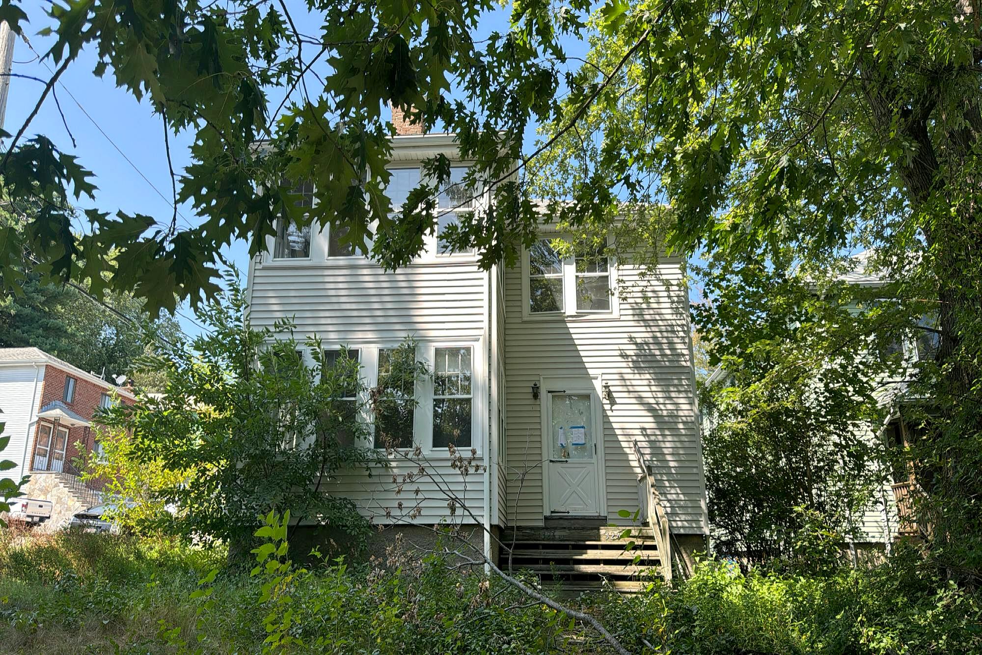 Main image