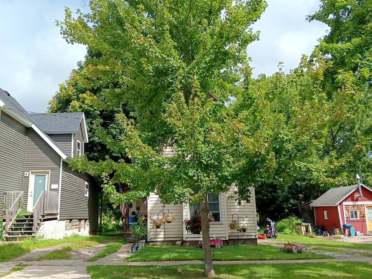 Main image