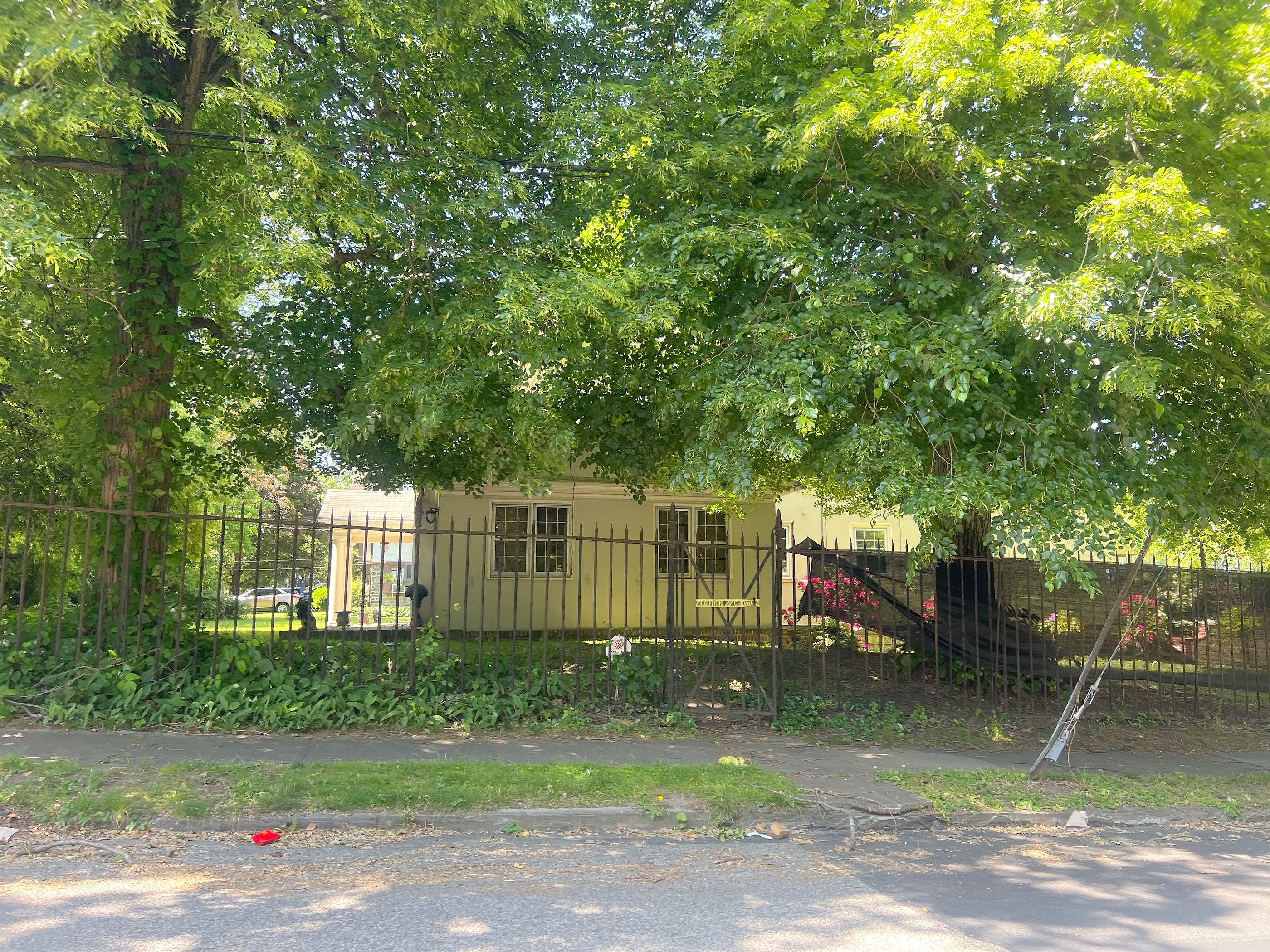 Main image