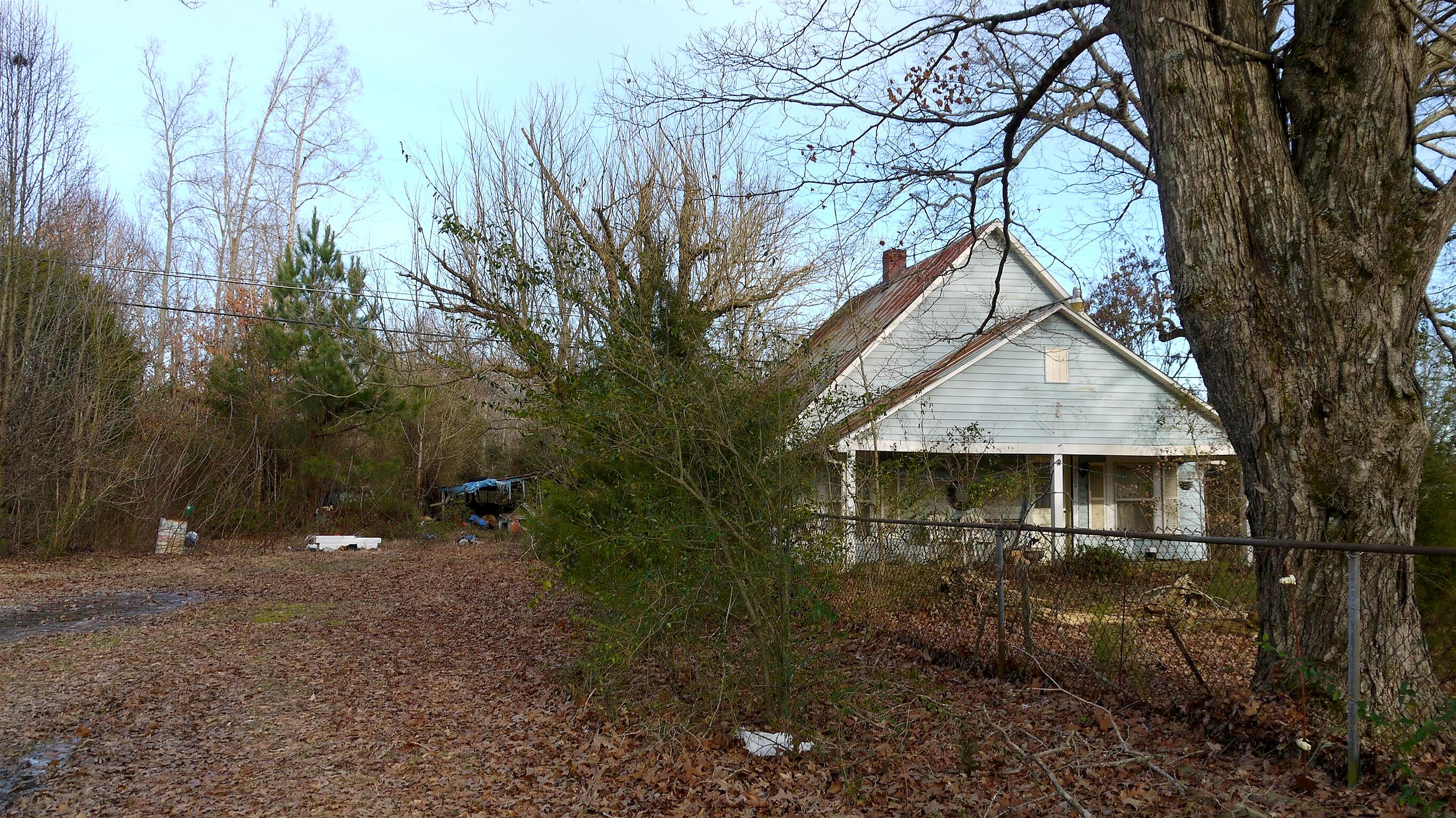 Main image